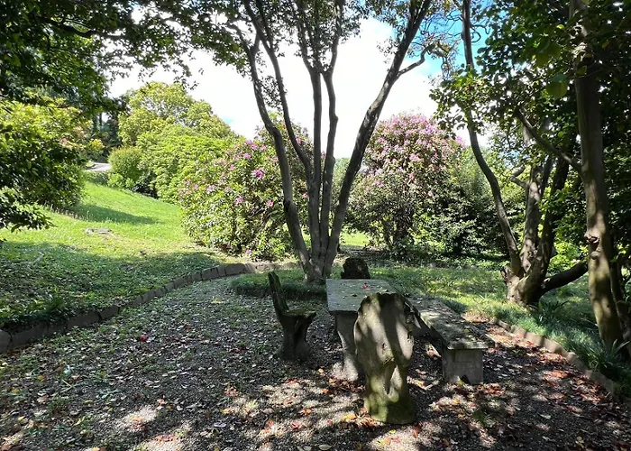 Appartement Camelia *